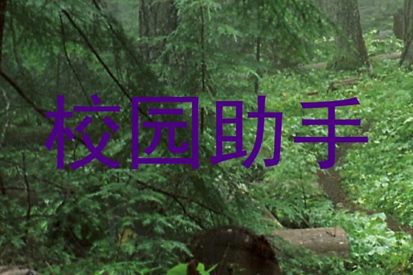 校园助手