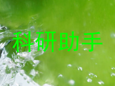 科研助手