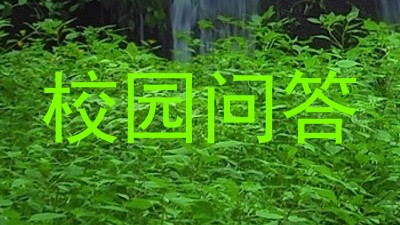 校园问答