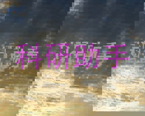 科研助手