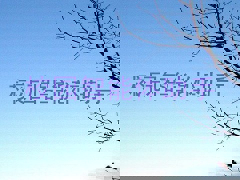 校园智能体助手