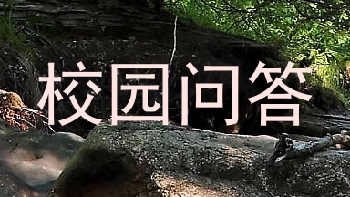 校园问答