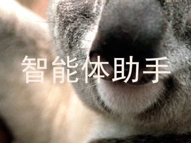 智能体助手