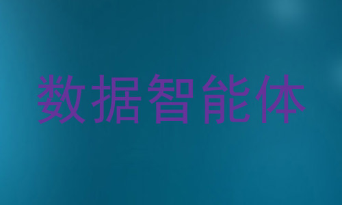 数据智能体