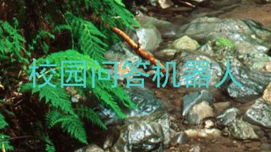 校园问答机器人