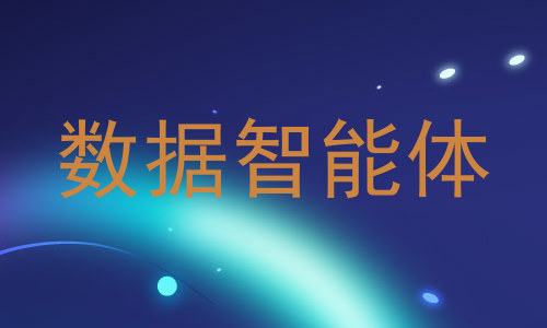 数据智能体