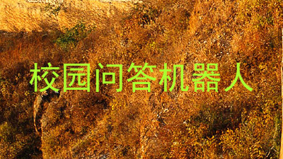 校园问答机器人