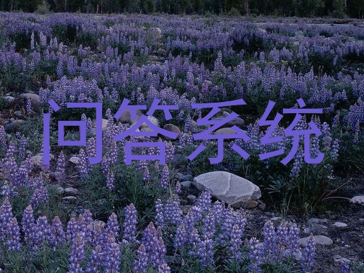 问答系统