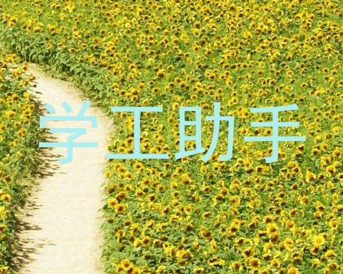 学工助手