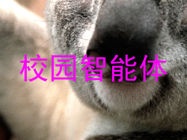 校园智能体