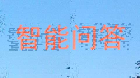 智能问答