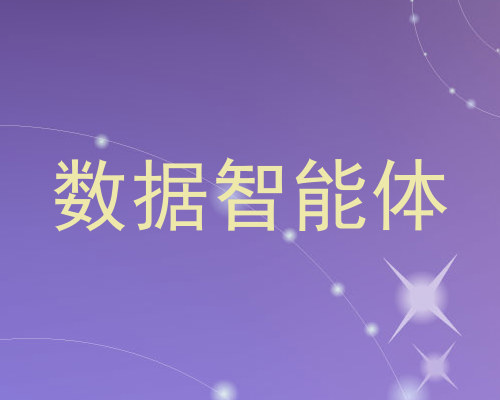 数据智能体