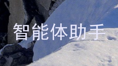 智能体助手