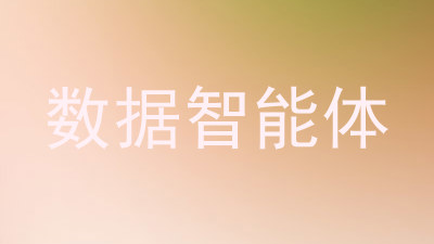 数据智能体