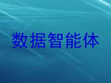 数据智能体