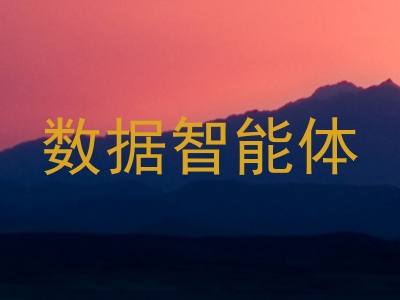 数据智能体