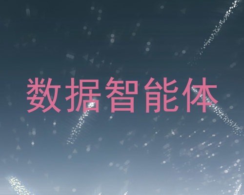数据智能体