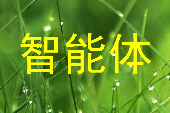 智能体