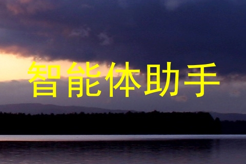 智能体助手