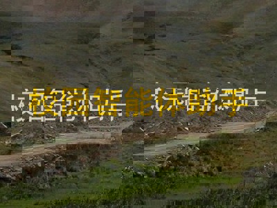 校园智能体助手