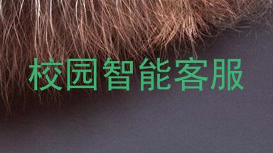 校园智能客服