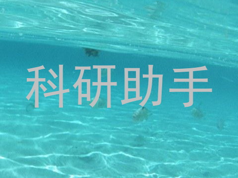 科研助手