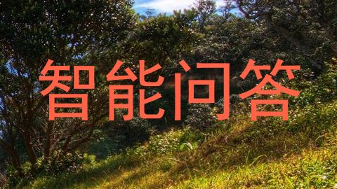 智能问答