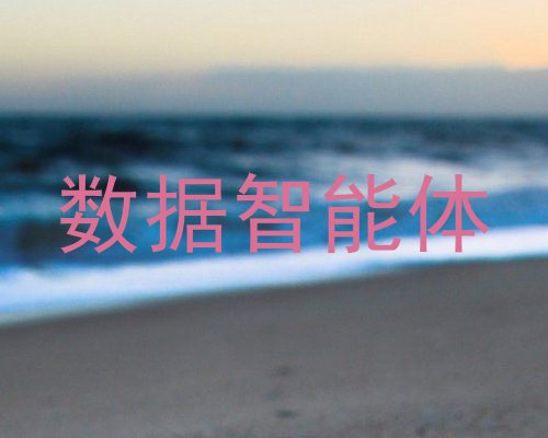 数据智能体