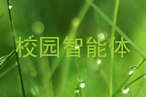 校园智能体