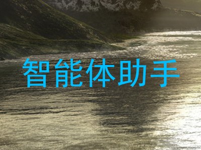 智能体助手