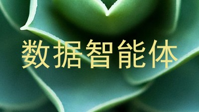 数据智能体