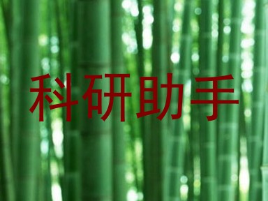 科研助手