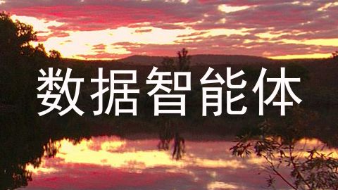 数据智能体