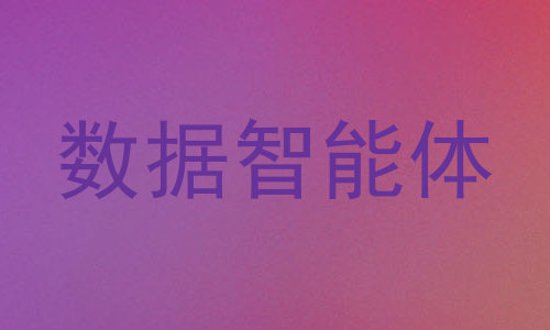 数据智能体