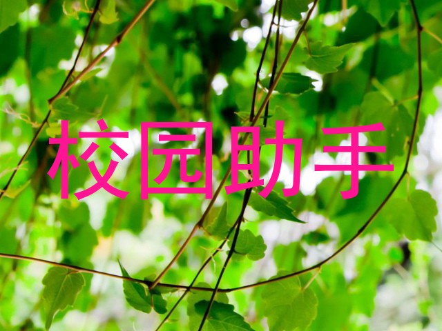 校园助手