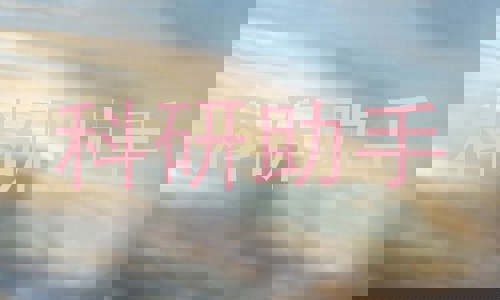 科研助手
