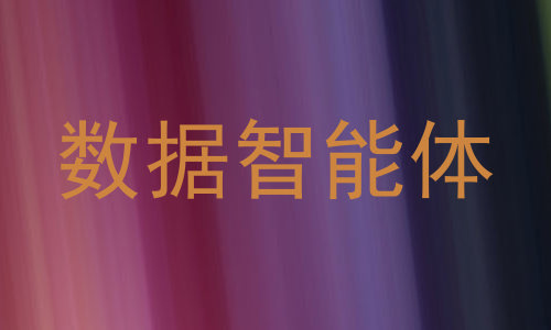 数据智能体