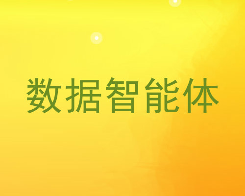 数据智能体
