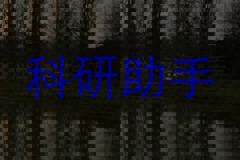 科研助手