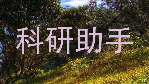 科研助手