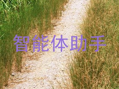 智能体助手
