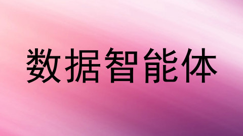 数据智能体