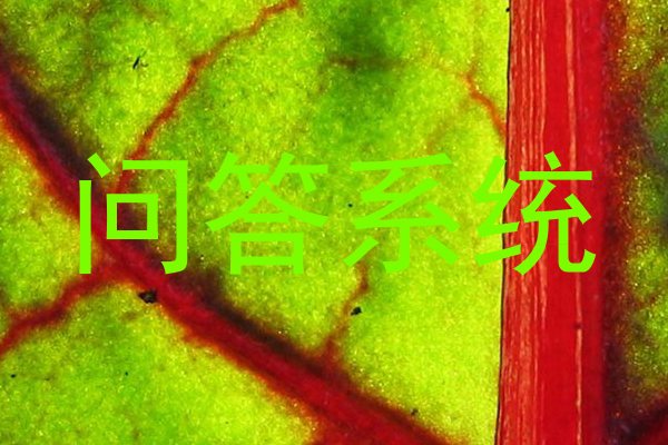 问答系统