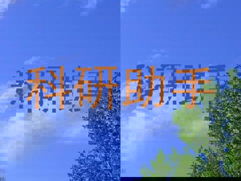 科研助手