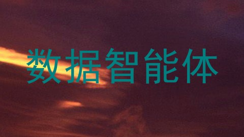 数据智能体