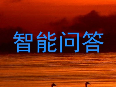 智能问答