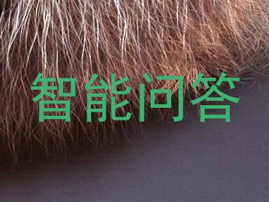 智能问答