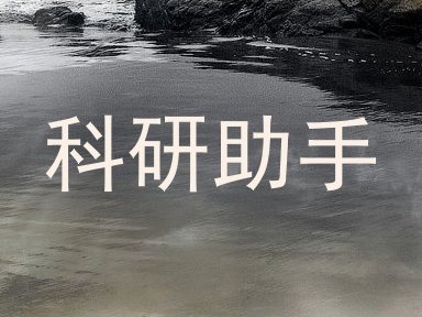 科研助手