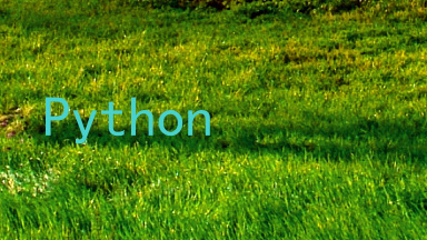 Python