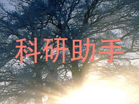 科研助手